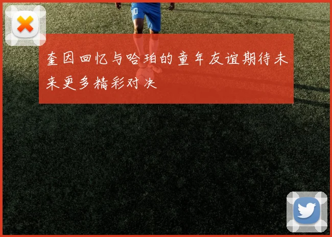 奎因回忆与哈珀的童年友谊期待未来更多精彩对决