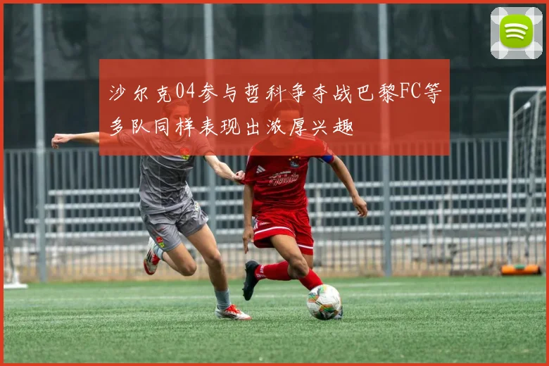 沙尔克04参与哲科争夺战巴黎FC等多队同样表现出浓厚兴趣